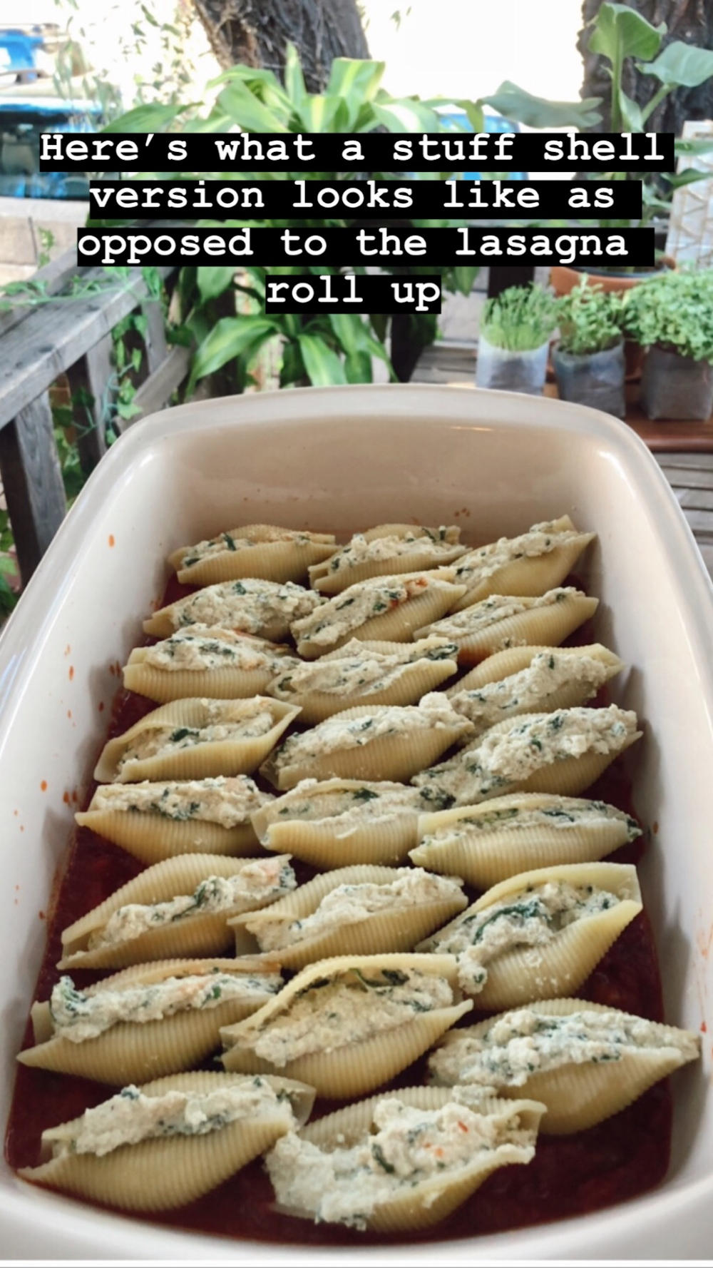 Stuff Shell Version of Lasagna Roll Ups with Vegan Ricotta