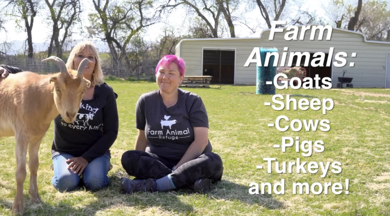 Farm Animal Refuge Education Program